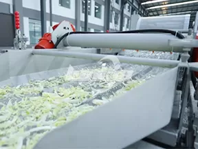 Máquina de limpieza de verduras por vórtice