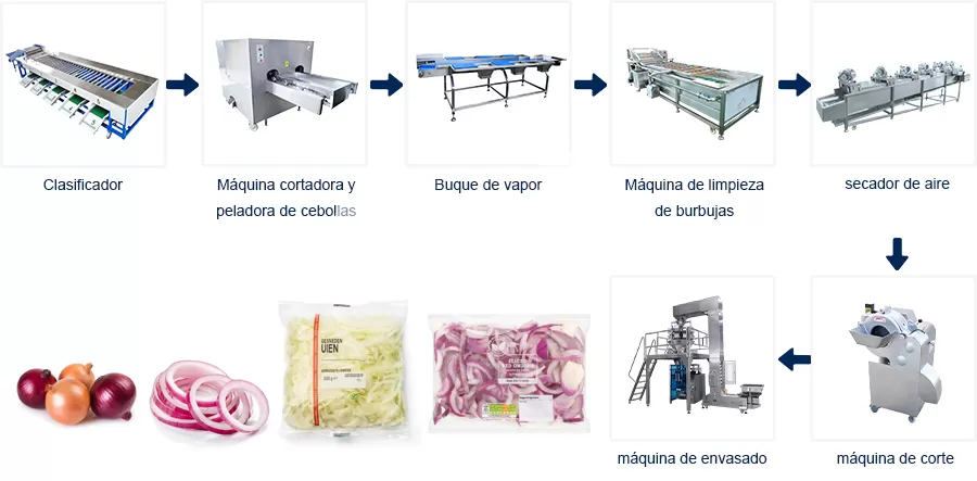 Proceso de Línea de Producción Línea de Pelado y Corte de Cebollas