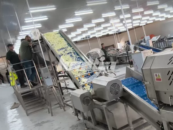 Empresa de procesamiento de vegetales en Jordania mejora la eficiencia de producción con la línea de procesamiento de ensaladas LONKIA