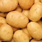 Patata