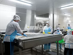Línea de procesamiento de verduras congeladas
