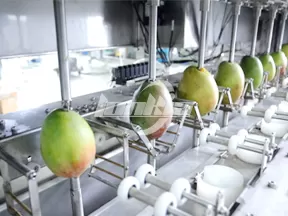 Línea de producción de cubos de mango congelado