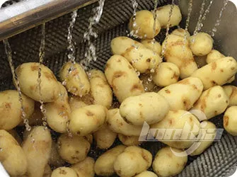 Galería de máquinas peladoras de rodillos de cepillo para hortalizas de raíz