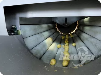 Galería de máquinas peladoras de rodillos de cepillo para hortalizas de raíz