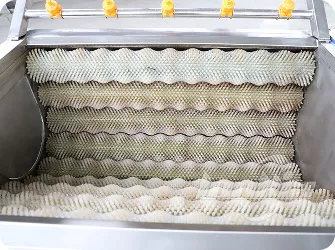 Galería de máquinas peladoras de rodillos de cepillo para hortalizas de raíz
