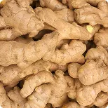 Jengibre