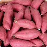 Batata