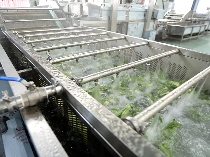 Vídeo sobre el lavado de verduras de hoja
