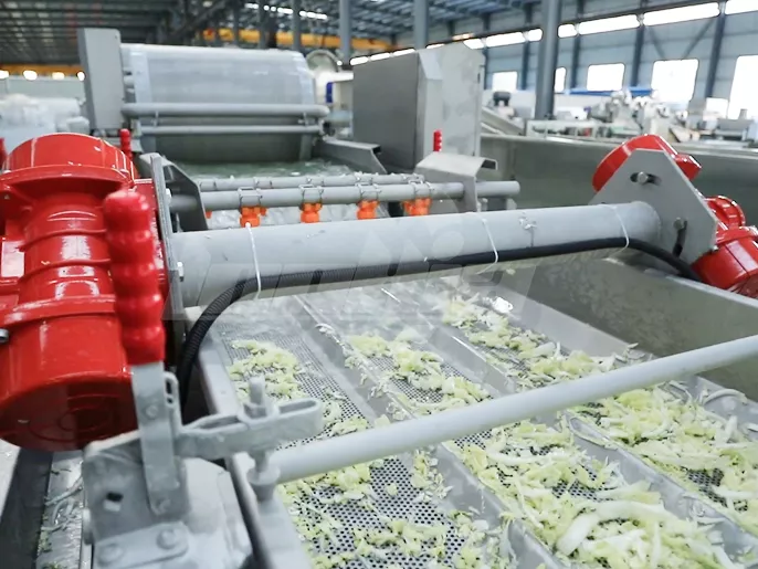 Vídeo sobre el lavado de verduras recién cortadas