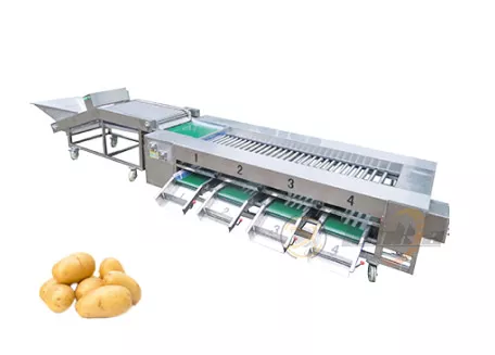 Máquina clasificadora de rodillos para frutas y verduras