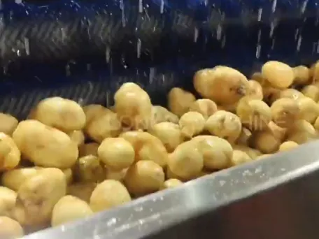 Vídeo del pelador de rodillos de cepillo