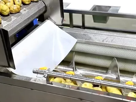 Vídeo de la máquina peladora con rodillo de cepillo en espiral