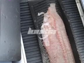 Máquina cortadora de pescado