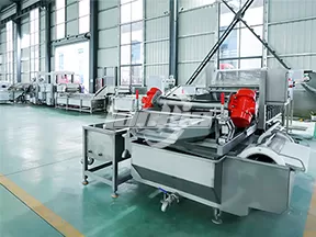 Máquina de limpieza de verduras por vórtice