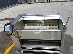 Máquina Peladora Industrial de Rodillos con Cepillos