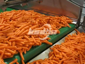 Línea de procesamiento de zanahorias totalmente automática