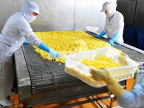 Línea de procesamiento de verduras congeladas