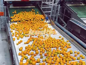 Máquina clasificadora de frutas y verduras por rodillos