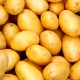 Patata