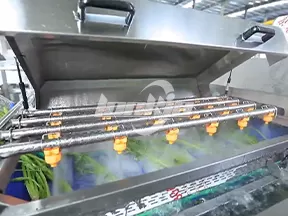 Línea de Producción de Lavado de Perejil