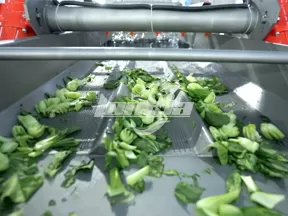 Línea de Producción de Ensaladas de Verduras