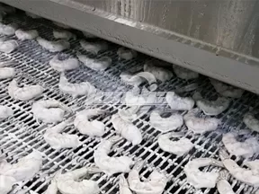 Máquina para congelar pescado