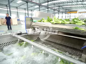 Lavadora de burbujas para frutas y verduras