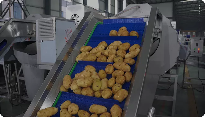 Vídeo de la máquina peladora de rodillos con cepillo