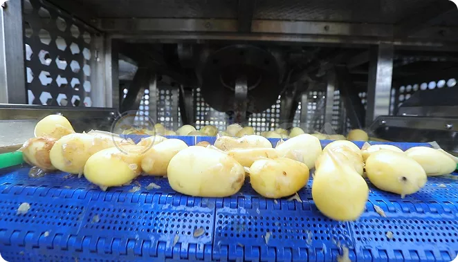 Vídeo de las máquinas peladoras de vapor LONKIA