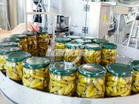 Línea de Producción de Conservas de Pepino