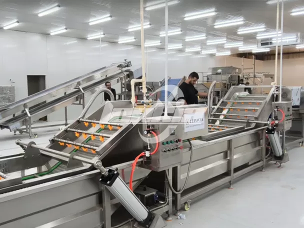 Empresa de procesamiento de vegetales en Jordania mejora la eficiencia de producción con la línea de procesamiento de ensaladas LONKIA