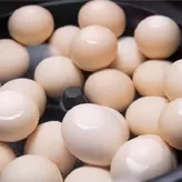 Huevos