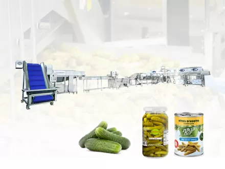 Línea de Producción de Conservas de Pepino