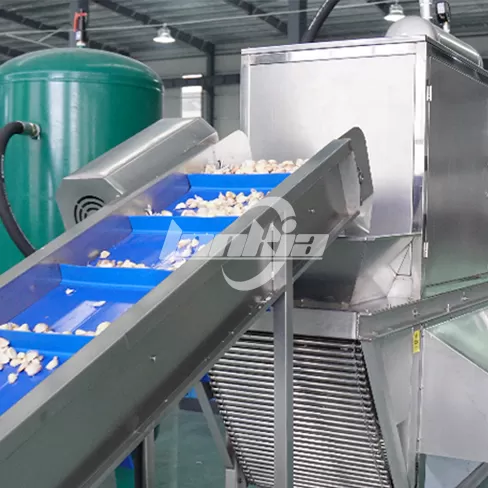 Máquina Peladora de ajos Industrial