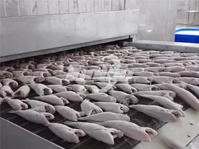 Máquina para congelar pescado