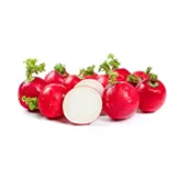 Rábano cherry