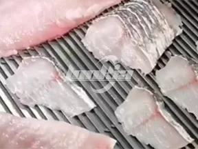 Máquina cortadora de pescado