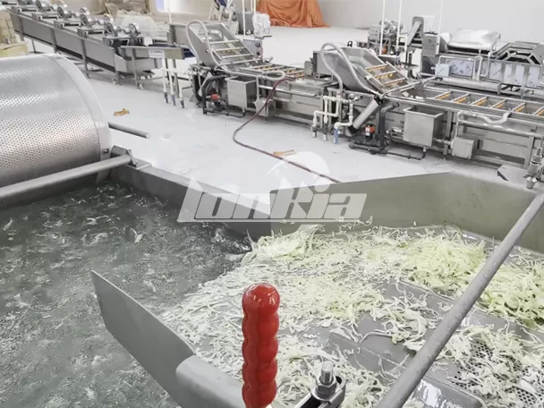 Empresa de procesamiento de vegetales en Jordania mejora la eficiencia de producción con la línea de procesamiento de ensaladas LONKIA