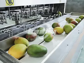 Línea de producción de cubos de mango congelado