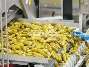 Línea de Producción de Conservas de Pepino