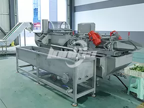 Máquina de limpieza de verduras por vórtice