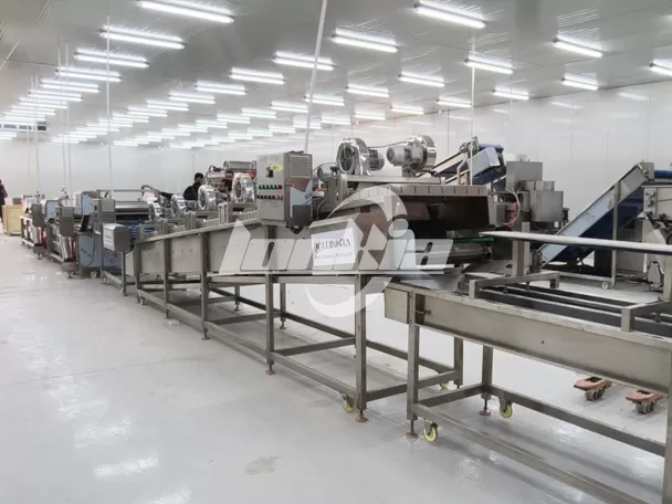 Empresa de procesamiento de vegetales en Jordania mejora la eficiencia de producción con la línea de procesamiento de ensaladas LONKIA