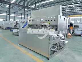 Línea de producción de cubos de mango congelado