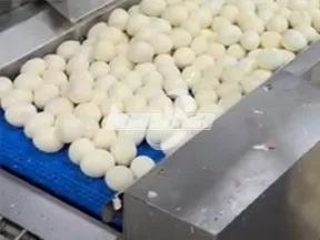 Máquina Peladora de Huevos Cocidos