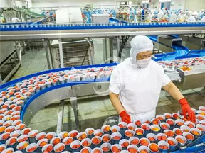 Línea de Producción de Conservas de Tomate