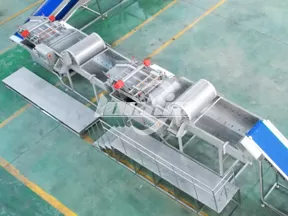 Máquina de limpieza de verduras por vórtice