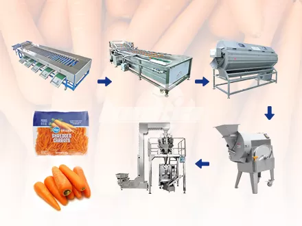Línea de procesamiento de zanahorias totalmente automática