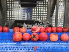 Máquina de Pelado al Vapor